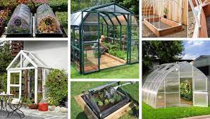 Opting for a small greenhouse cabinet on wheels is a good idea. Small Greenhouse Ideas In The Garden And The Yard 63 Great Ideas For Those Who Love Early Vegetables And Flowers My Desired Home