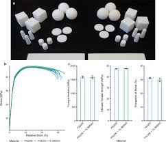 This where the chromosomes (dna) are stored in a double. Use Of Silver Based Additives For The Development Of Antibacterial Functionality In Laser Sintered Polyamide 12 Parts Scientific Reports