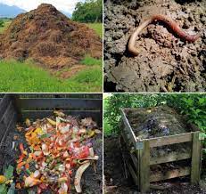 Check spelling or type a new query. What Is Compost Types Of Compost Compost Methods Agri Farming