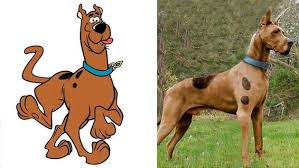 Stáhnout nyní zdarma klipart kreslený pes zdarma v ai, svg nebo eps. Galeria ObÄ¾ubeny Kresleny Pes Scooby Doo Existuje Tu Su Jeho Dvojnici