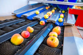 Automated Sorting