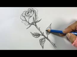 Learning to draw flowers is perfect for bullet journals, ho. Download How To Drawing 3d Flower 3gp Mp4 Codedwap