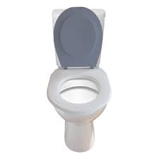 La petite révolution pour le confort et l'entretien de vos toilettes. Papado Lunette De Wc Clipsable Personnalisable Made In France