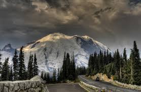 Image result for Wildberry 1993 Shadow