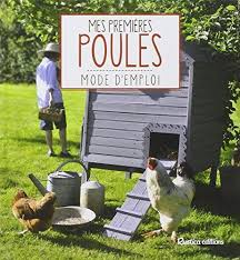 Conseils Pour Construire Et Fabriquer Un Poulailler Meilleur Poulailler Fabriquer Un Poulailler Poulailler Construire Un Poulailler