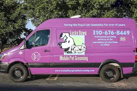 Maybe you would like to learn more about one of these? Cat Grooming Near Me All Products Are Discounted Cheaper Than Retail Price Free Delivery Returns Off 71