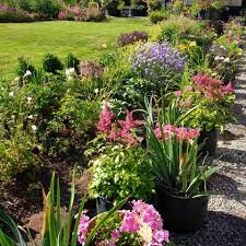 We did not find results for: Brambles Bed And Breakfast Tiverton Devon Accommodation