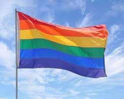 De bekendste regenboogvlaggen zijn die van de homobeweging en vredesbeweging. Regenboog Vlag Fine Quality