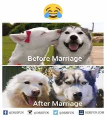 Dopl3r Com Memes Before Marriage After Marriage Desifun Desifun Desifun I Desifun Com