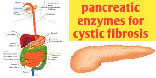 Sarles h., pastor j., pauli a.m., barthelemy m. Pancreatic Enzymes For Cystic Fibrosis And Treatment Biologysir