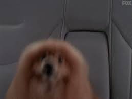 Barking gif find on gifer. Barking X Files Gif By The X Files Find Share On Giphy