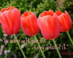 Tulip Quotes Google Search Tulips Quotes Jack Kerouac Quotes Art Quotes