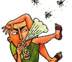 Image result for bug spray