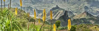 Ethiopia ዶ/ር ሙሉ ነጋ አስጠነቀቁ ፣አልሲሲ ከአሜሪካ ፈቃድ አገኙ፣በነጃዋር ዙሪያ ዛሬ የተሰማው ethiopia ከባድ ወንጀለኞች ተጋለጡ፣ጋዜጠኛ አርአያ ለህወሀት ደጋፊዎች፣ዛሬ በአዲስ አበባ የተገኘው አስነራሚ ነገር. A Historical And Cultural Exploration Of Ethiopia Jacada Travel
