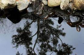 13 september, 2018 3:28 pm file size: 300 Tonnes Of Oil Spills After Malaysia Ship Collision