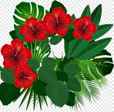 Download free vector flowers and use any clip art,coloring,png graphics in your website, document or presentation. Floral Design Tropics Aloha Annual Plant Flower Png Pngegg