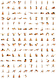 Basic Yoga Poses For Beginners Chart Work Out Picture Media Hatha Yoga Poses Basic Yoga Poses Yoga Poses Chart