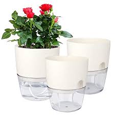 Maybe you would like to learn more about one of these? Buy Vanavazon 6 Inch Self Watering Planter Pots For Indoor Plants 3 Pack African Violet Pots With Wick Rope White Online In Indonesia B0862ctbfk