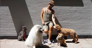 According to the los angeles, california police department confirms that five people who were involved in the kidnapping of lady gaga's dogs and shooting her dog walker were arrested. Lady Gaga S Dog Walker Recalls Being Shot And Cradling Guardian Angel Dog The New York Times