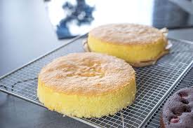 Lockerer Kuchenteig Fur Motivtorten Und Sahnetorten Grundrezept Sallys Blog Lecker Backen Motivtorten Backrezepte