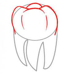 Zub není jen bílá dutá perlička. Kak Narisovat Zub