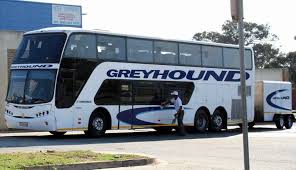 Busscar Panoramico Dd Photos News Reviews Specs Car Listings Star Bus Greyhound Bus Bus Coach