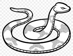 90s tees snake and rose 80 rock vector black white snake snake vector icon vector snake snake roses snakes vector snake vector snake and flowers. Snake Black And White Drawing Black Mamba Clip Art Png 2400x1867px Snake Animal Figure Beak Black