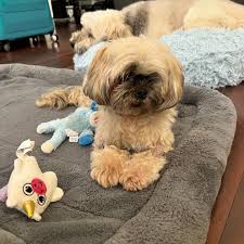 Ellie's post-hospital boots are kinda cute and fashion 🙂 100% of my shop  income goes towards Ellie's medical bills — the sale is ongoing til April  30 with the discount code ELLIE