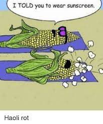 It takes less time to potty train a toddler. I Told You To Wear Sunscreen Funny Meme On Me Me