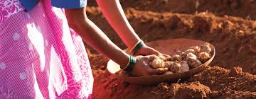 Every permanent hair color, including aveda hair color, must have this agent. All Natural Ingredients Professional Hair Care Makeup More Aveda