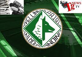Avellino calcio, 19 giugno 2005: Avellino Calcio Stemma Tgnews Tv Ultime Notizie Avellino Irpinia Sannio