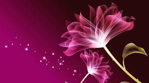 Beautiful Flowers Wallpaper Flower Images Wallpapers Purple Flowers Wallpaper Pink Flowers Wallpaper
