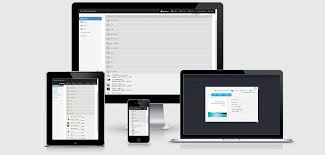 But it can be extended with extensions to be used as a . Wordpress Sp Project Document Manager Premium Plugin