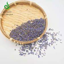 We did not find results for: Hot Sale Factory Price Dried Lavender Flower Tea 100 Natural Herb Tea Buy Lavender Tea Flower Lavender Flowers Tea Bulk Lavender Tea Flower Dried Lavender Flower Tea 100 Natural Herb Tea Flower