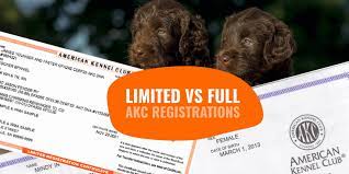 It is possible to register a dog without any registration papers from the seller. Limited Akc Registration Vs Full Akc Registration Breeding Business
