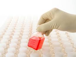 What are the optimal conditions to store cell culture media? Cell Culture Media Biocompare