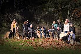 Check spelling or type a new query. Eurasier Club Of Canada Posts Facebook