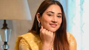 Silent Night Guards, Warmth In A Cold, Uncaring City': Disha Parmar Posts  After SC's Stray Dog Order