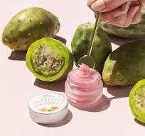 Sweet Cactus Pear