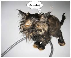Image result for grumble meme