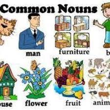 Noun secara bahasa berartikan kata benda. Pengertian Common Noun Dan Proper Noun Contoh Kalimatnya