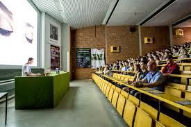 Image result for Oreophyton