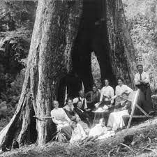 Pin By Dan Mcalister On Don T Know Much About History Old Photos Australia History Photo