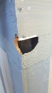 Call for pest control orlando. Earth S Best Natural Pest Management 7932 Plathe Rd New Port Richey Fl Pest Control Mapquest