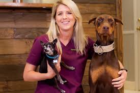Explore tweets of pet vet on patton @petvetonpatton on twitter. Pet Resources At Patton Chapel Animal Clinic