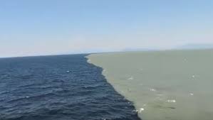 A Place Where The Atlantic And The Pacific Meet Is Amazing Two Oceans Meet Ocean Pictures Atlantic