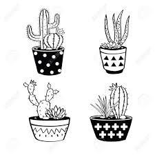 If you own this content, please let us contact. Vector Set With Black And White Cactuses And Succulents In Pots Royalty Free Cliparts Vectors And Stock Illustration Image 76963310