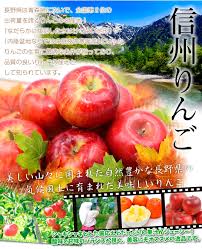 りんご 10kg ご家庭用 サンふじ 長野産 送料無料 食品