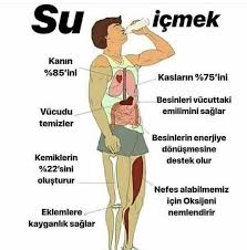 Sivi Birikmesini Su Icerek Onleyin Sporium Net 2020 Saglik Saglik Ve Fitness Fitness Egzersizleri