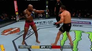 Ufc will make gastelum adesanya for the interim imo. Lumberjacks Best Leg Kick Gifs June 2018 Mma Sucka